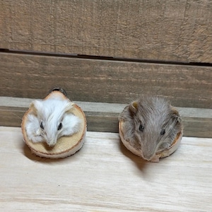 MADE TO ORDER: Mouse Magnet