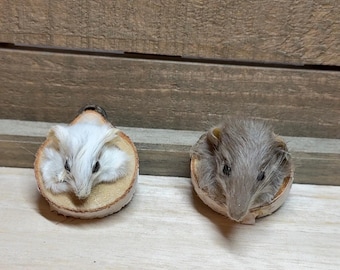 MADE TO ORDER: Mouse Magnet