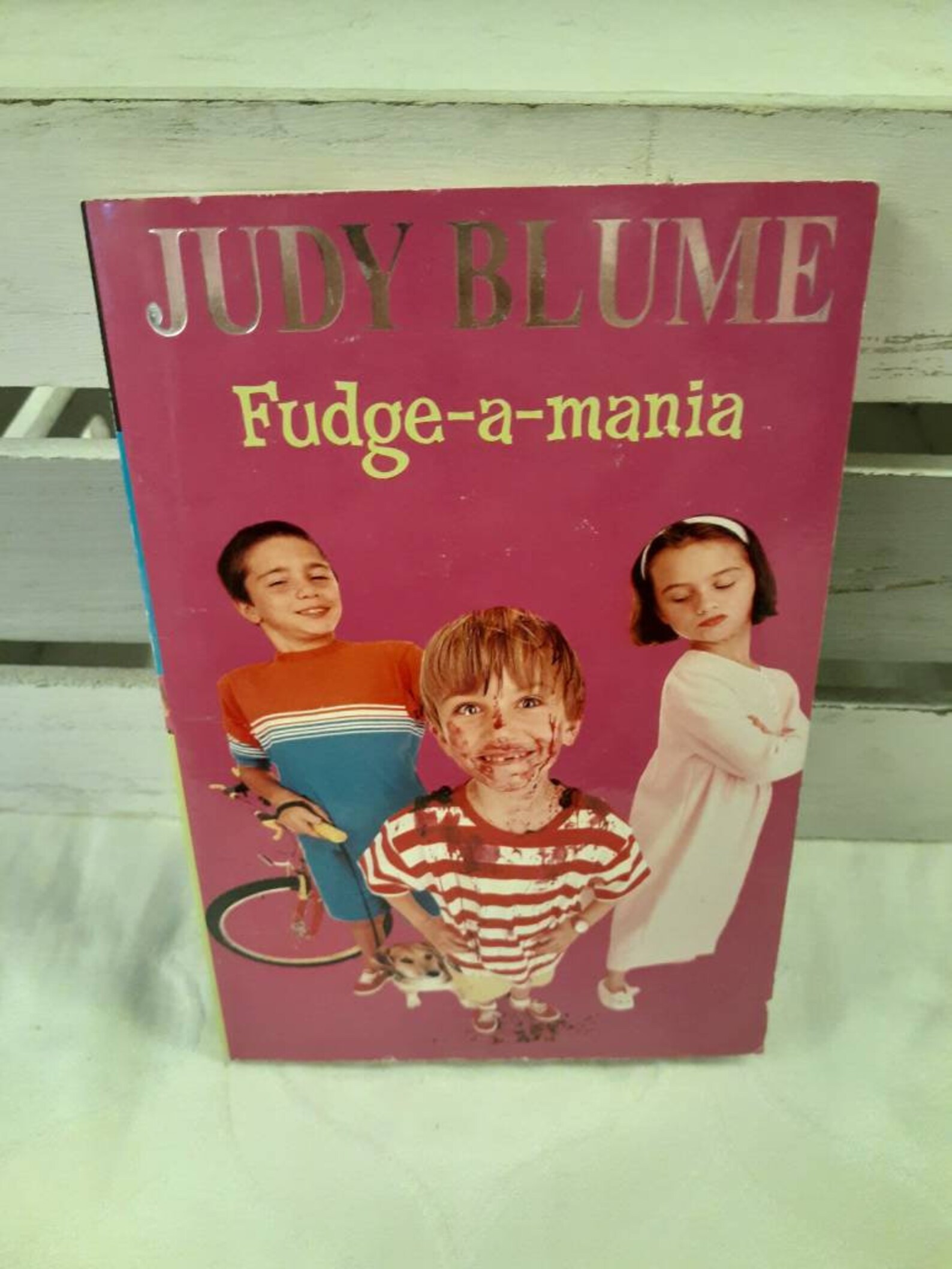 Judy Bloom books Fudge a maniayoung readerseasy to read Etsy