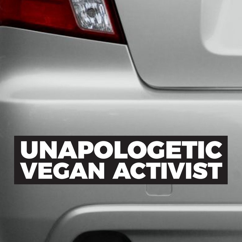 Car Sticker Laptop Sticker Vinyl Waterproof Sticker Vegan Sticker Decal