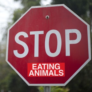 Stop eating animals stickers bulk 1 5 10 20 pack sticker stop sign decal vegan activism animals rights decals vegan stickers vegan stickers