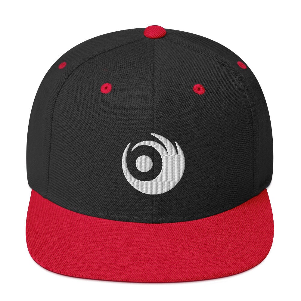 LIGHTS Skin & Earth Logo Snapback Hat