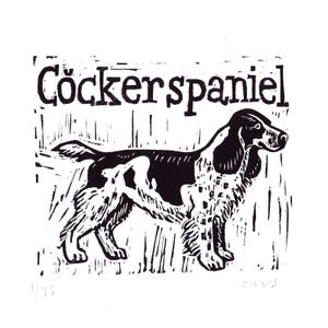 Cocker Spaniel