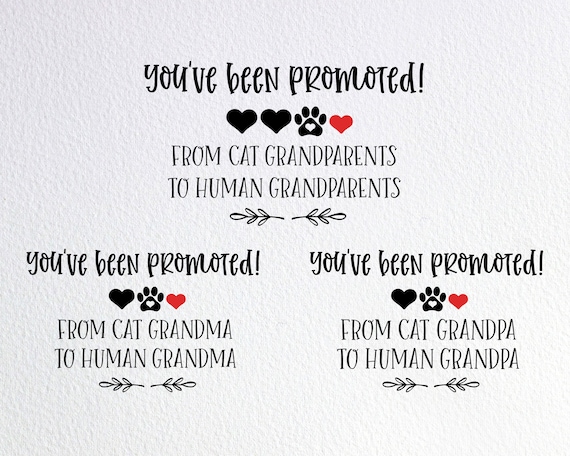 Promoted From Cat Grandma To Human Grandma Shirt New Baby Promoted From Cat Grandma To Human Grandma Shirt New Baby