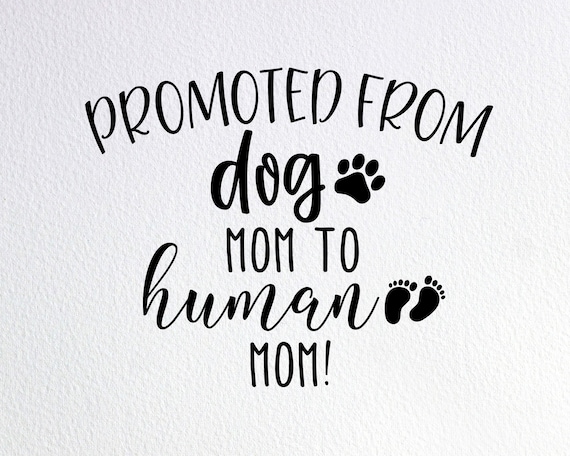 Promovido de perro mamá a mamá humana Svg nueva mamá regalo - Etsy España