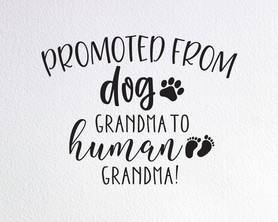 Promoted From Dog Grandma To Human Grandma T-Shirt Promoted From Dog Grandma To Human Grandma T-Shirt