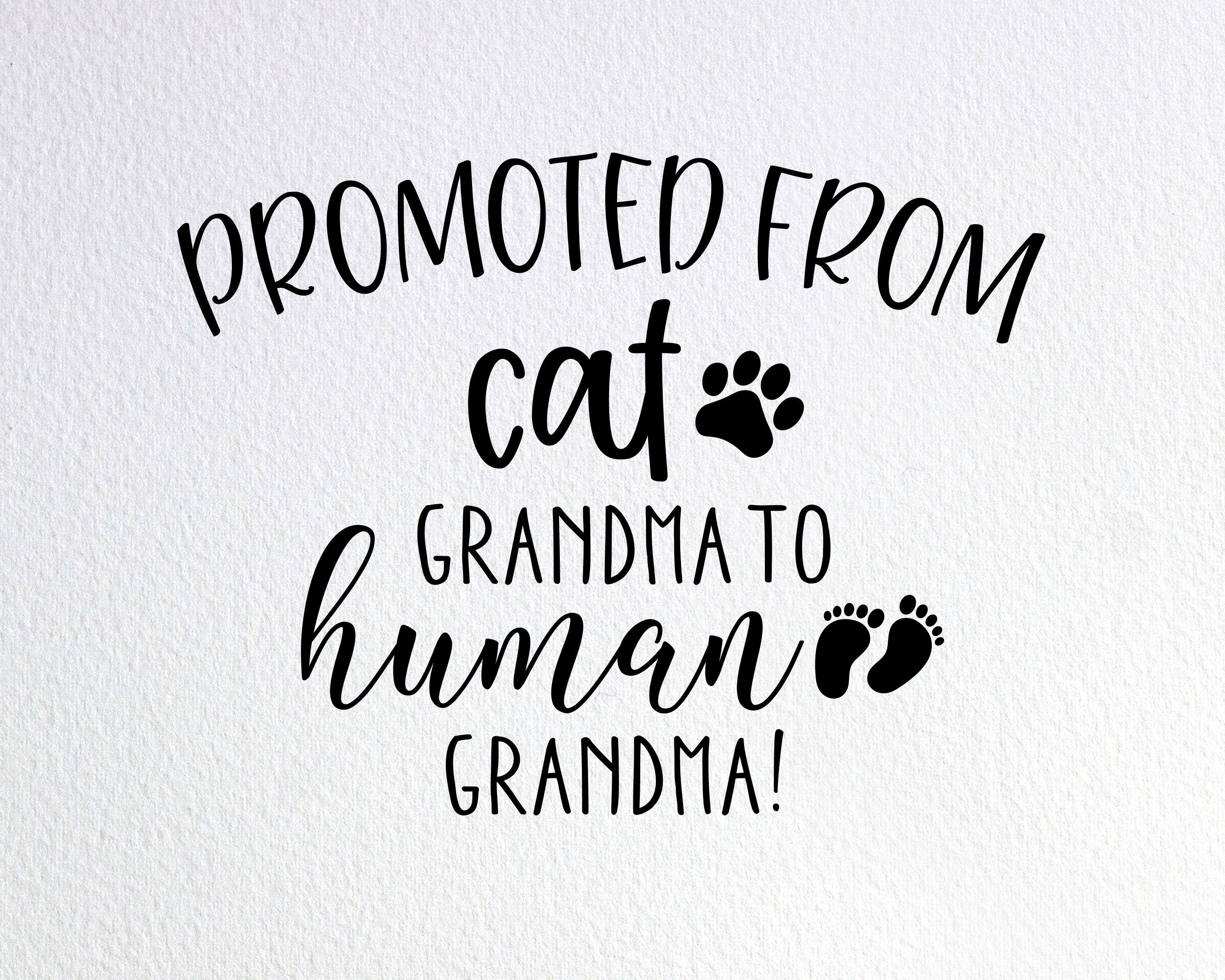 Promoted From Cat Grandma To Human Grandma Shirt New Baby Promoted From Cat Grandma To Human Grandma Shirt New Baby