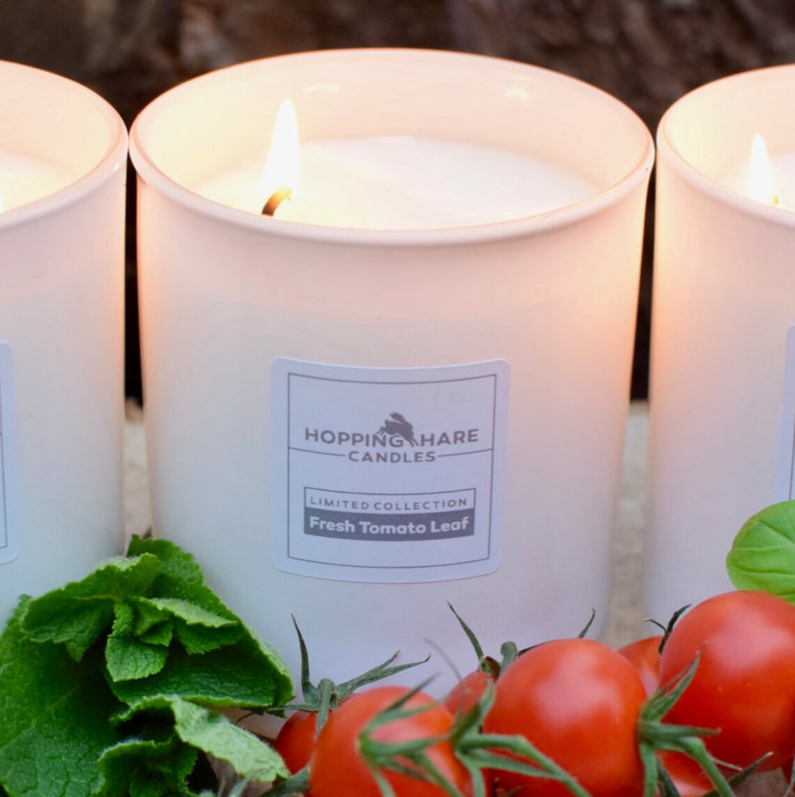 9cl Fresh Tomato Leaf Candle Etsy