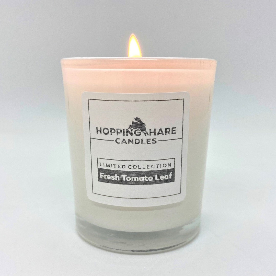 9cl Fresh Tomato Leaf Candle Etsy