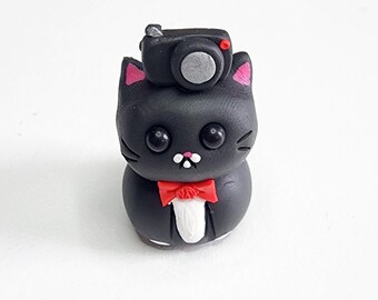 Photographer Kitty- Tabbies Hobbies collection