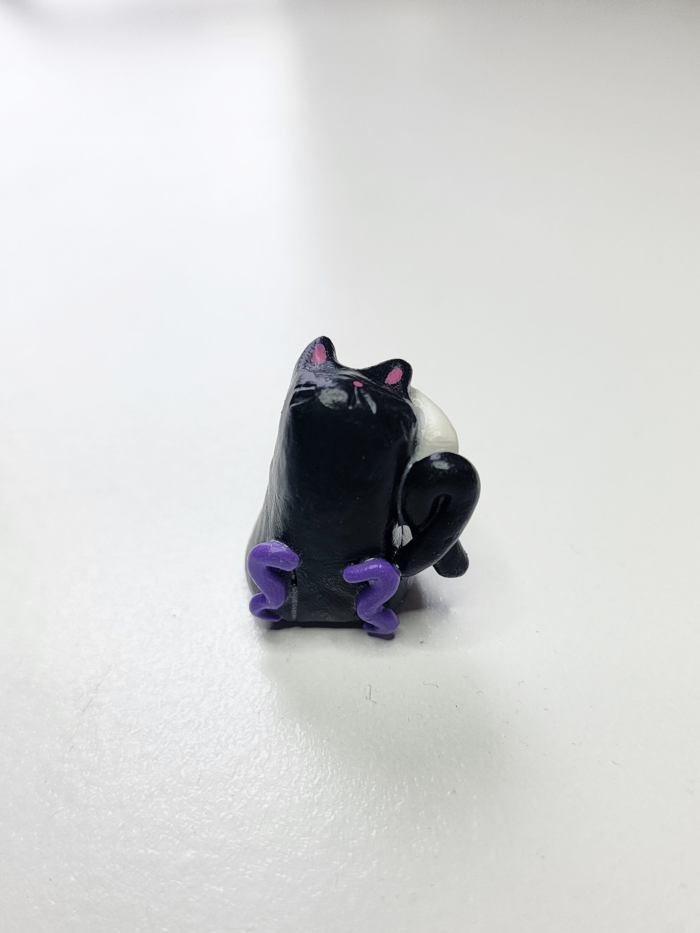 Narcolepsy kitty -Support/Chronically ill Kitties