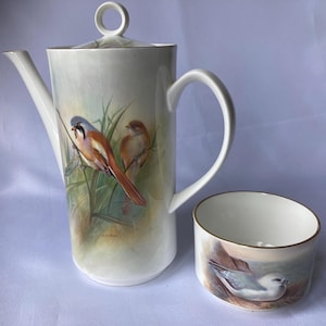 Può includere: Una caffettiera e una zuccheriera in ceramica bianca con un design a forma di uccello. La caffettiera ha un coperchio e un manico. La zuccheriera è rotonda con un piccolo manico. Entrambi i pezzi presentano un design dipinto di uccelli su rami.