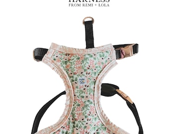May include: A floral dog harness with the text "Clove HARNESS FROM REMI + LOLA". The harness features a pink and green floral pattern with black straps and a gold-colored buckle. The brand name "remi + lola" is also visible.