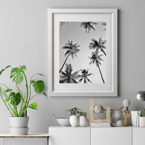 Palm Tree Skies digital print by Lustprint instant download, black and white monchrome tropical palm tree photography poster print image image 1