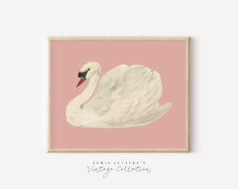 White Swan on Pink Background | Vintage Printable Wall Art, Instant download, Swan Painting, Watercolor