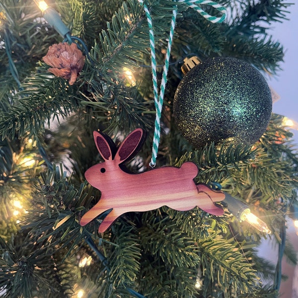 Bunny Ornament (Buns Christmas, Rabbit Sympathy, Hare Decor, Bunny KnickKnack, Cottontail Celebration, Cony Party) Baby Bun Buns Decor