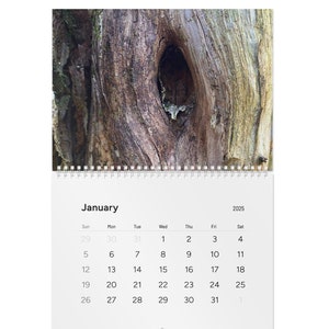 Naughty Nature 2025, 2025 calendar funny nature, Suggestive nature art, Quirky nature gifts, Unique calendar 2025, Humorous gift ideas
