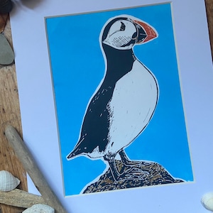 Puffin