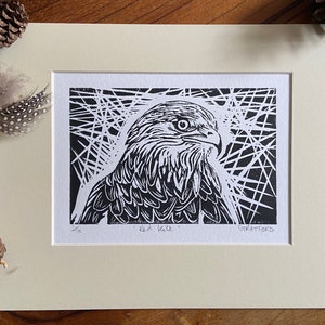 Red Kite