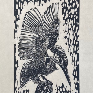 Kingfisher