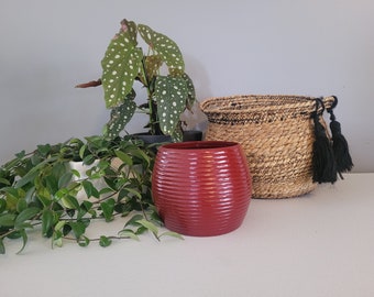 3D Printed Plant Pot