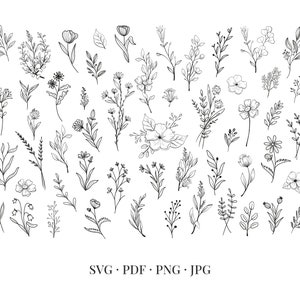 May include: A set of 40 black and white line drawings of various flowers and foliage. The drawings are simple and elegant, and would be perfect for use in a variety of creative projects.