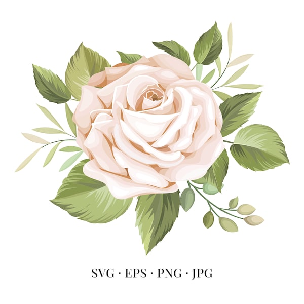 White Rose Bloom - Flower Illustration Floral Floristic Watercolor - Svg Eps Png Jpg - Image Clipart Vector Design Printable Download