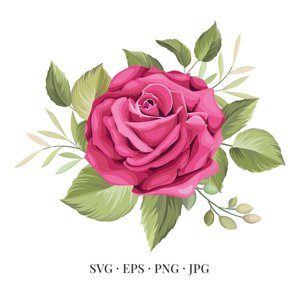 Pink Rose Bloom - Flower Illustration Floral Floristic Watercolor - Svg Eps Png Jpg - Image Clipart Vector Design Printable Download