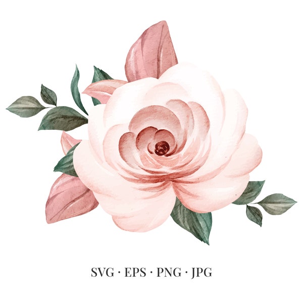 Rose Bloom - Flower Illustration Floral Floristic Watercolor - Svg Eps Png Jpg - Image Clipart Vector Design Crafting Printable Download