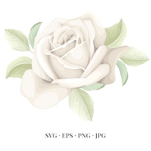 May include: A single white rose with green leaves. The rose is in full bloom and has a delicate, feminine appearance.
