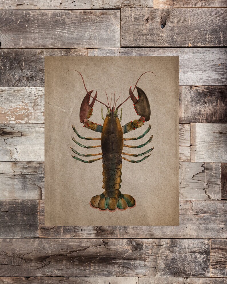 Vintage Lobster Print Set of 4 Lobster Trap Patent Lobster - Etsy Sweden