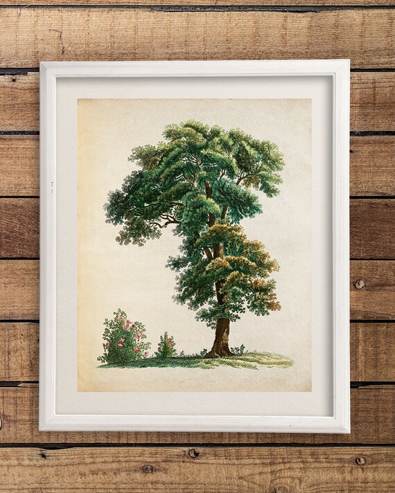 Vintage Tree Print Antique Tree Wall Art Botanical Wall Art - Etsy