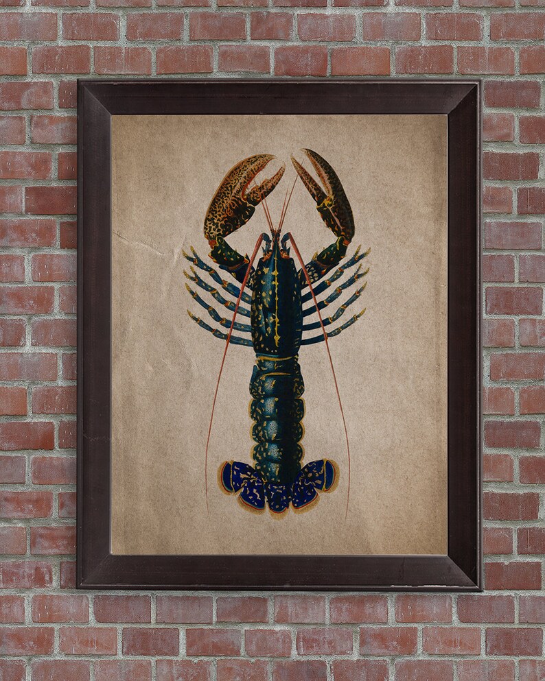 Vintage Lobster Print Set of 4 Lobster Trap Patent Lobster - Etsy