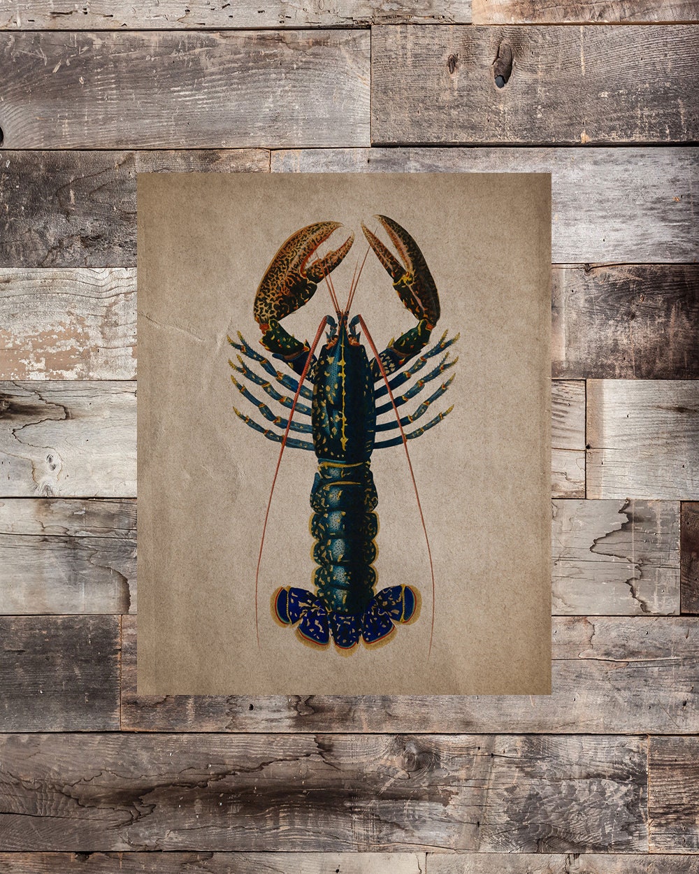 Vintage Lobster Print Set of 4 Lobster Trap Patent Lobster | Etsy