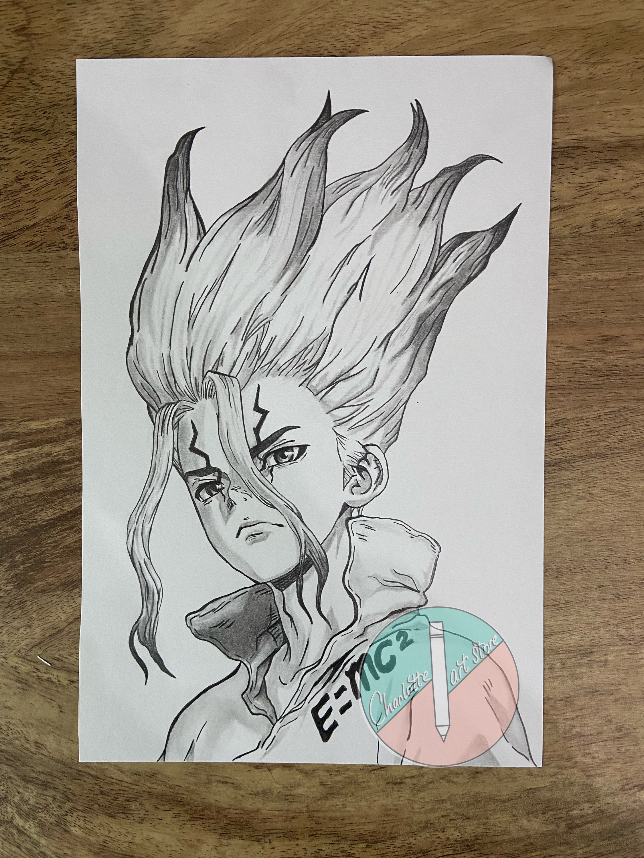 Dr. stone A4 pencil portrait drawing of Senku ORIGINAL Etsy