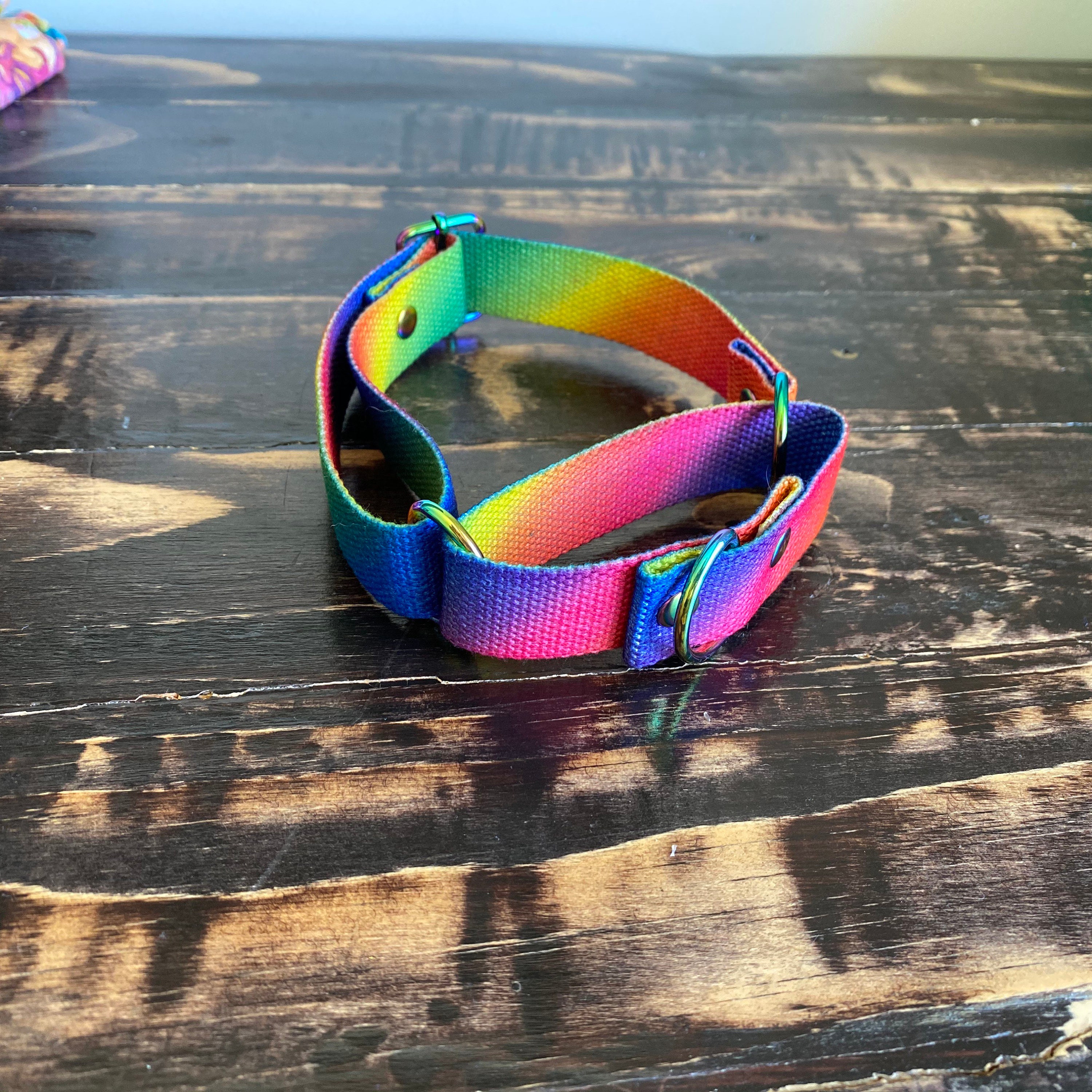 Rainbow dog collar / pride collar / artisan dog collar / pet Etsy