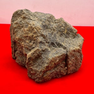Al Haggounia 001 Meteorite: Chondrite Stony Meteorite, Morocco, 170 grams