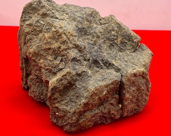 Al Haggounia 001 Meteorite: Chondrite Stony Meteorite, Morocco, 170 grams