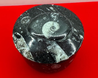 May include: A black and white ammonite fossil with a spiral shell, set in a round, black stone box.
