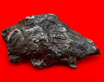 Spécimen de météorite « Russie » de Sikhote-Alin, 36,89 grammes, météorite de fer, éclats d'obus, météorite authentique, cadeau d'astronomie, cadeau de l'espace, COA