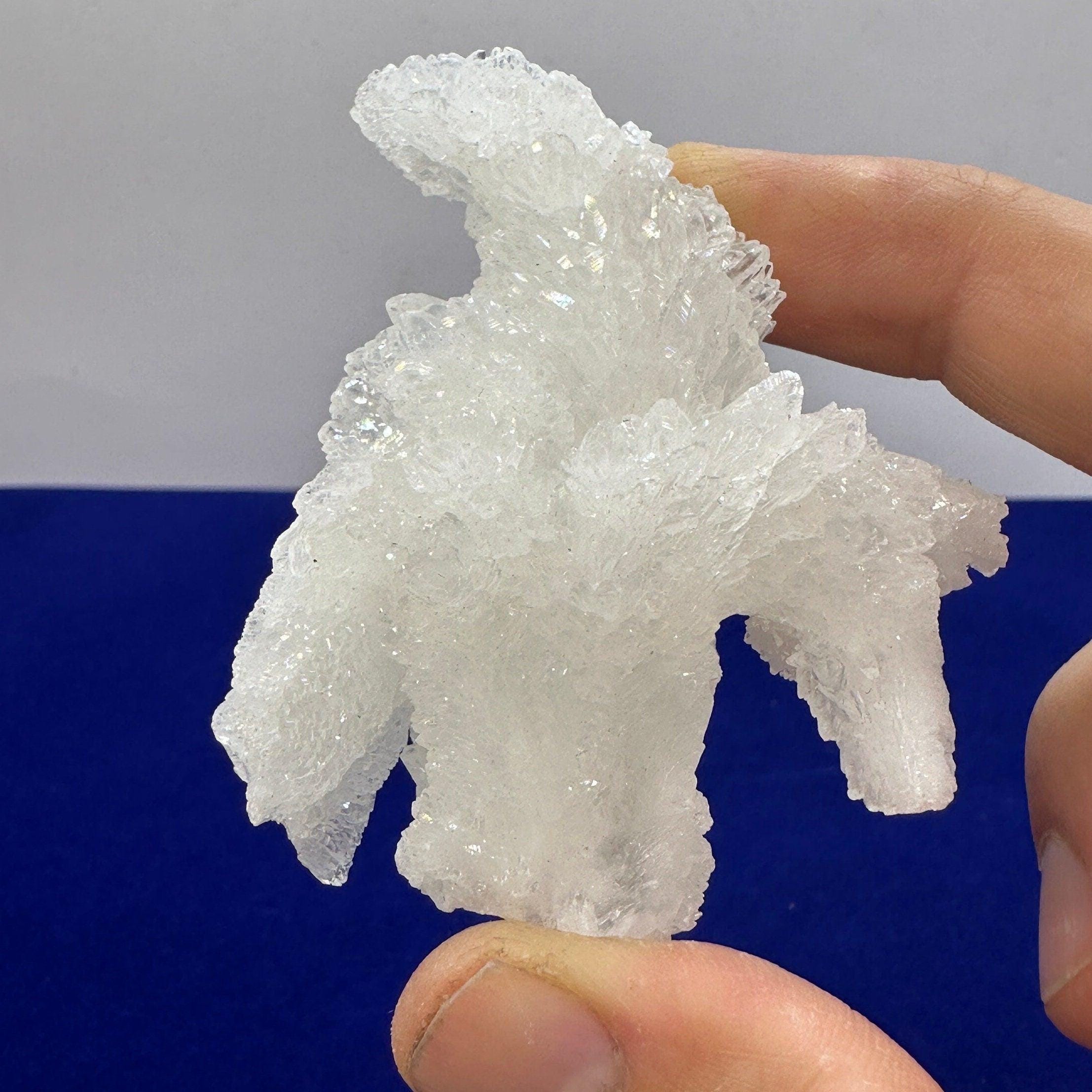 アラゴナイト「Cave Calcite 」 レア Cave Calcite (aragonite) For Sale | Fossilsplus.com/Pangaea