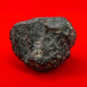 Meteorite NWA 869 Chondrite Stony Meteorite, 27.65 grams, Authentic Meteorite, Meteorite Collection, COA, Astronomy Gift, Space Gift