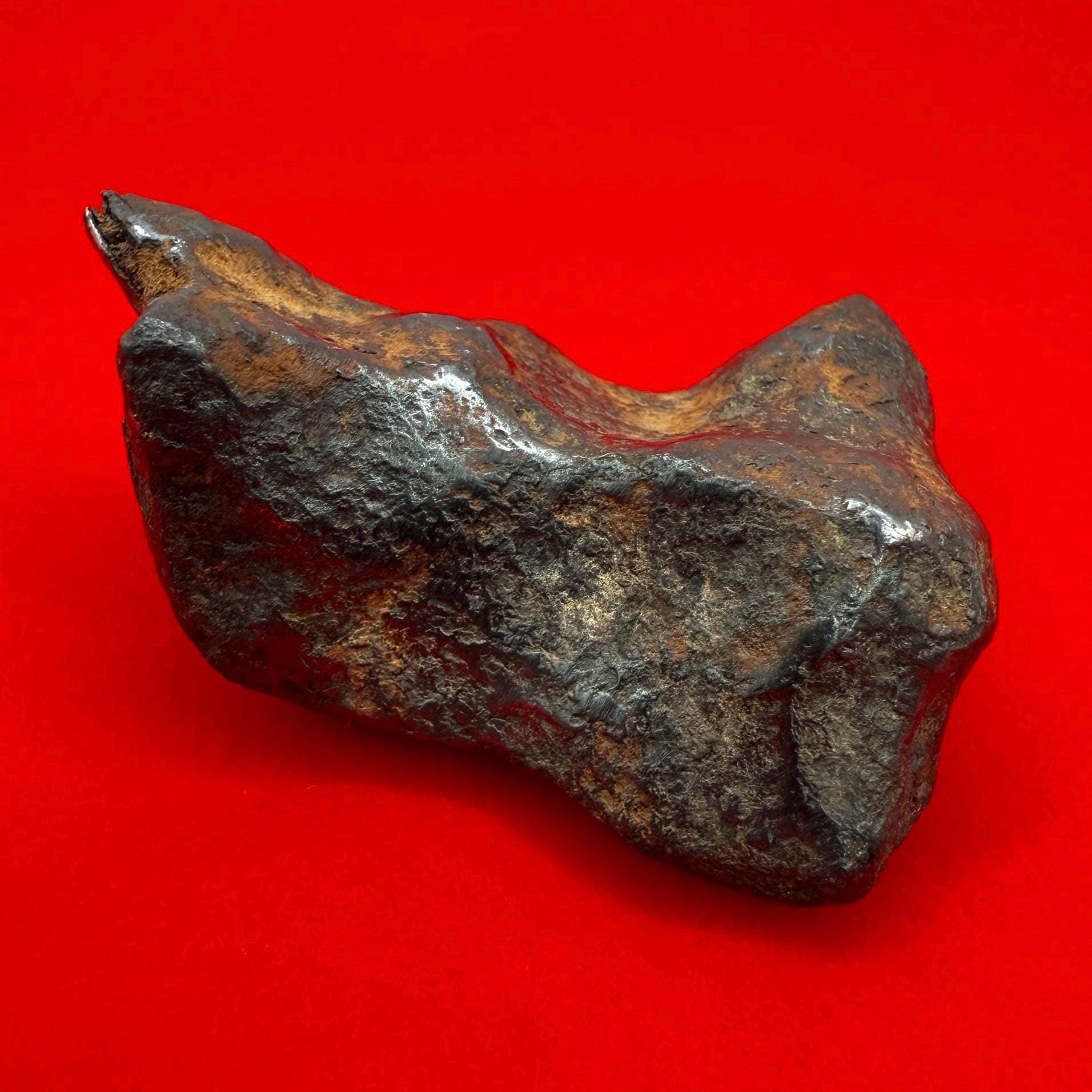 ムンドラビラ鉄隕石標本：105.19グラム、オーストラリア、天文学ギフト