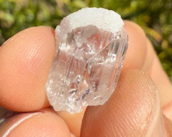 Mexican Danburite Crystal: Gem Quality, Crown Chakra Crystal, 2.22g/11.1ct