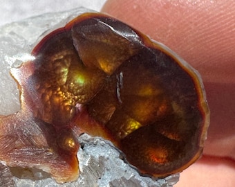 Mexican Fire Agate: Red and Green Stone, Energy Work, 31.88g/159.4ct