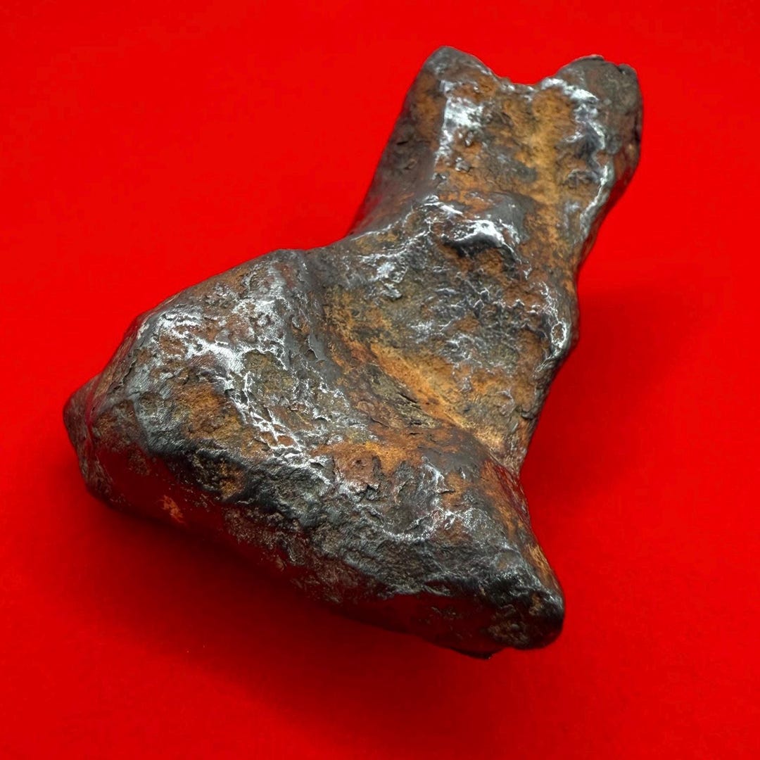 ムンドラビラ鉄隕石標本：105.19グラム、オーストラリア、天文学ギフト