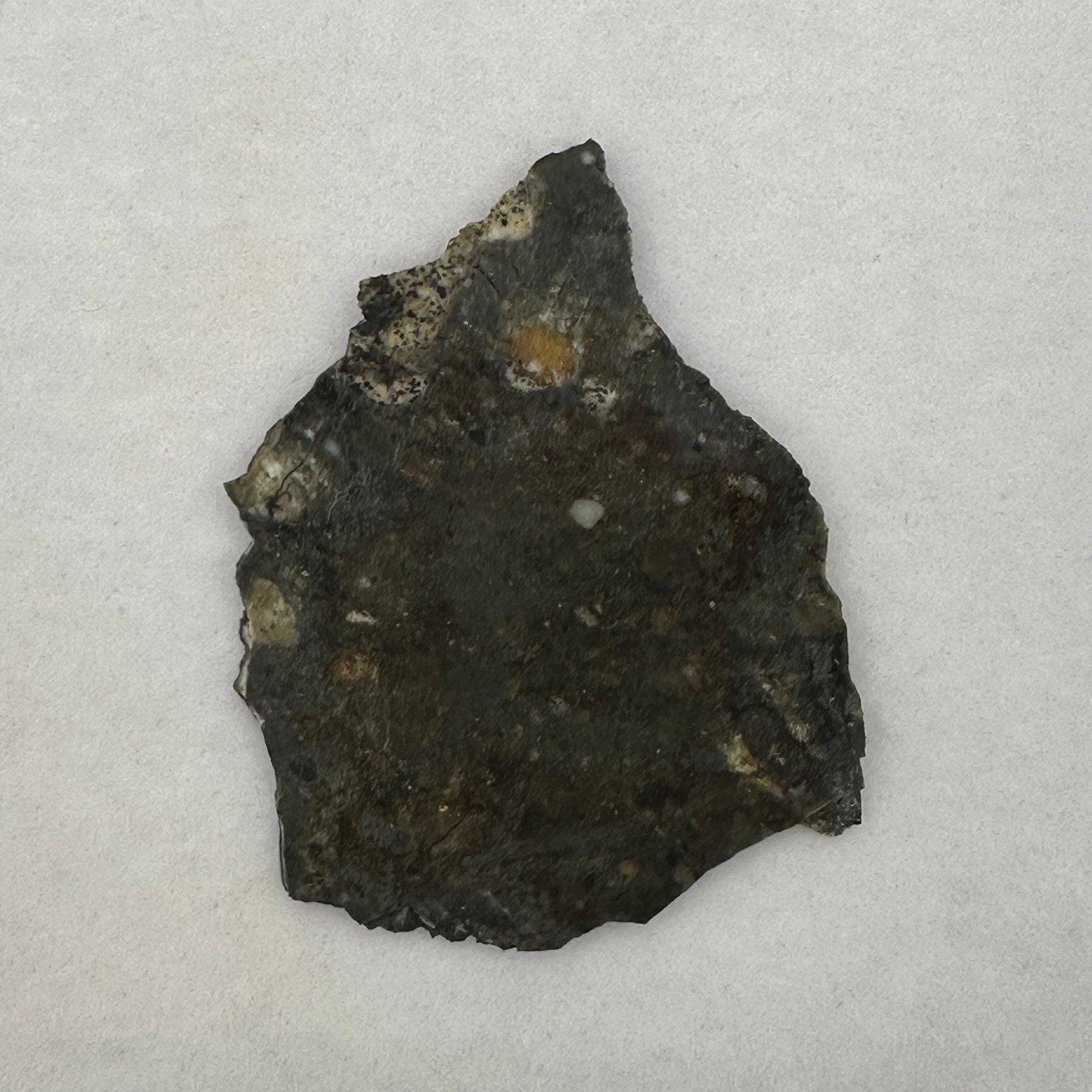 【GW限定値下げ】月隕石 lunar meteorite 隕石 NWA15373 GW限定値下げ】月隕石 lunar meteorite 隕石 NWA15373 コレクション