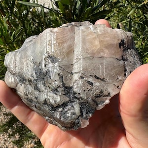 Large Brazilian Phenacite Crystal, Phenakite, Authentic Phenacite, Top Quality Phenacite, Self Awakening, Meditation, 1 lbs 7.4 Ounces, 662g