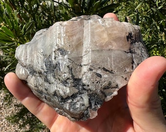 Large Brazilian Phenacite Crystal, Metaphysical Specimen (1 lbs 7.4 oz)
