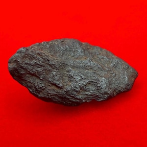 May include: A dark gray, irregularly shaped rock with a rough, pitted, and textured surface. The object has a dense, metallic appearance with visible ridges and crevices across its entire exterior, showcasing a natural, unpolished, and rugged form.